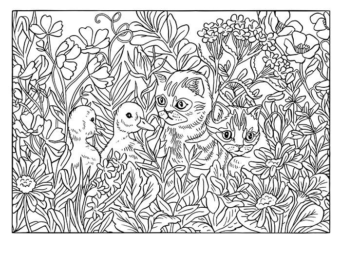 004.draw%20the%20windows%20ipad