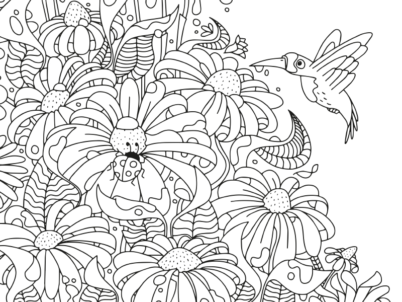 004.draw%20the%20windows%20ipad