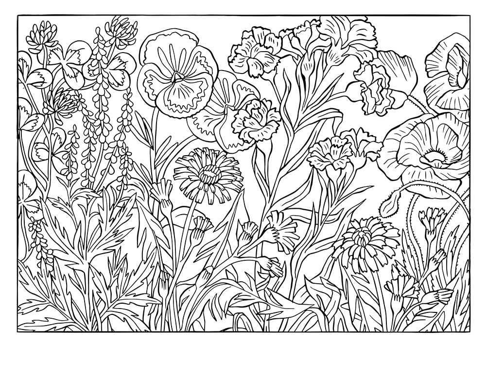 004.draw%20the%20windows%20ipad