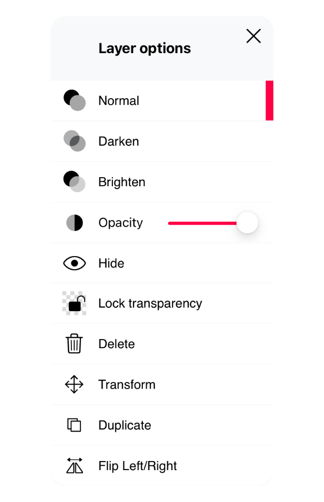 Layer%20options%202